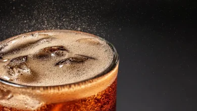 炭酸飲料（CSD）市場の2025～2035年の展望をご覧ください。北米における主要なトレンド、市場動向、課題、機会、地域別のインサイトをご覧ください。最新のレポートの調査結果と将来の成長予測もご確認ください。