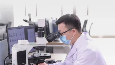 難解試験市場における最新のトレンド、市場動向、課題、そして成長機会を探ります。2025年以降の重要な洞察、地域分析、そして主要な調査結果を入手しましょう。