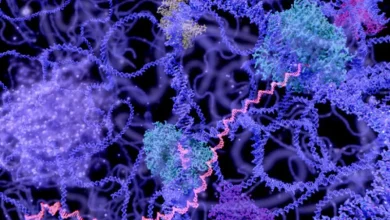 タンパク質加水分解酵素市場を調査します。北米に重点を置いた最新のトレンド、市場の動向、主な課題、主要プレーヤー、成長の機会などです。