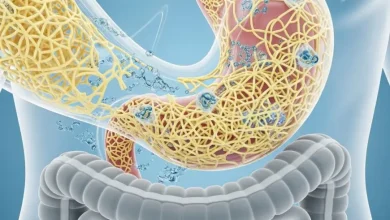 2025年から2035年にかけての水溶性食物繊維市場の展望（業界動向、主要推進要因、地域分析、機会、課題など）をご覧ください。主要プレーヤー、成長戦略、市場動向に関する洞察をご覧ください。