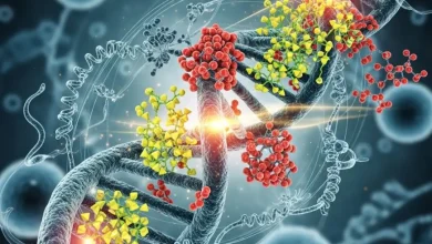 2024 ～ 2035 年のエピジェネティクス市場の展望を調査し、市場規模、エピジェネティック療法の革新、診断アプリケーション、競合状況、セグメンテーション、および世界中の将来の成長機会を網羅します。