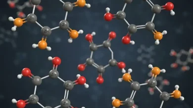 世界の金属キレート市場を、主要トレンド、成長要因、市場規模、そして2025～2030年までの業界予測を含めて分析します。農業、産業、ヘルスケア分野への応用に関する洞察も提供します。