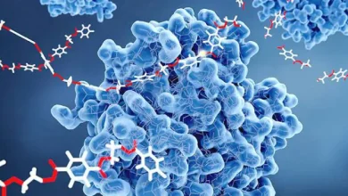 タンパク質加水分解酵素市場を調査します。北米に重点を置いた最新のトレンド、市場の動向、主な課題、主要プレーヤー、成長の機会などです。