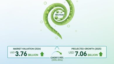2024 年に 37 億 6,000 万米ドルと評価され、2035 年までに 5.9% の CAGR で 70 億 6,000 万米ドルに達すると予測される世界の藻類タンパク質市場の見通しをご覧ください。