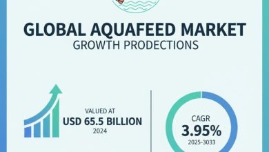 世界の水産飼料市場は2024年に655億米ドルと評価され、2035年には1,001億5,000万米ドルに達すると予測されています。2025年から2035年にかけて年平均成長率（CAGR）3.95%で成長が見込まれています。水産飼料業界の成長を形作るトレンド、推進要因、そして洞察を探ります。