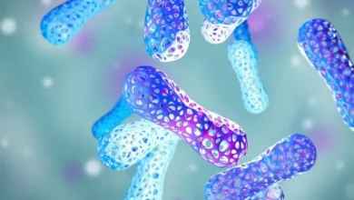最新の2025年マイクロバイオーム治療薬市場調査では、画期的なトレンドと機会が明らかにされています。競合他社に先駆けて、リアルタイムの業界データ、価格分析、専門家の予測を入手しましょう。