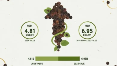 2024 年に 48 億 1,000 万米ドルと評価され、2035 年までに 69 億 5,000 万米ドルに達すると予測され、2025 年から 2035 年にかけて 3.40% の CAGR で成長する世界のペッパー市場に関する洞察をご覧ください。